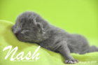 Nash ist 1 Woche alt geworden (16.08.2015)