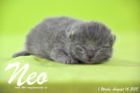 Neo ist 1 Woche alt geworden (16.08.2015)