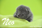 Neo ist 1 Woche alt geworden (16.08.2015)