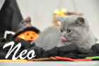 Neo ist 10 Wochen alt geworden (17.10.2015)