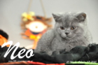 Neo ist 10 Wochen alt geworden (17.10.2015)
