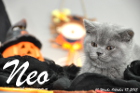Neo ist 10 Wochen alt geworden (17.10.2015)