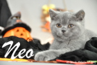 Neo ist 10 Wochen alt geworden (17.10.2015)