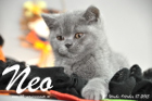 Neo ist 10 Wochen alt geworden (17.10.2015)