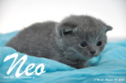 Neo ist 3 Wochen alt geworden (30.08.2015)