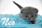 Neo ist 3 Wochen alt geworden (30.08.2015)
