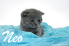 Neo ist 3 Wochen alt geworden (30.08.2015)