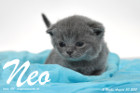 Neo ist 3 Wochen alt geworden (30.08.2015)