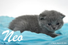 Neo ist 3 Wochen alt geworden (30.08.2015)