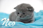 Neo ist 3 Wochen alt geworden (30.08.2015)
