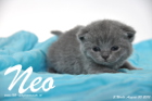 Neo ist 3 Wochen alt geworden (30.08.2015)