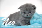 Neo ist 3 Wochen alt geworden (30.08.2015)