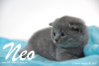 Neo ist 3 Wochen alt geworden (30.08.2015)
