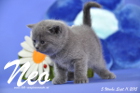 Neo ist 5 Wochen alt geworden ( 11.09.2015 )