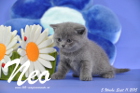 Neo ist 5 Wochen alt geworden ( 11.09.2015 )