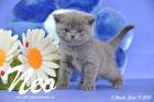 Neo ist 5 Wochen alt geworden ( 11.09.2015 )