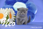 Neo ist 5 Wochen alt geworden ( 11.09.2015 )