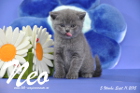 Neo ist 5 Wochen alt geworden ( 11.09.2015 )
