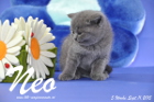 Neo ist 5 Wochen alt geworden ( 11.09.2015 )