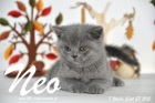Neo ist 7 Wochen alt geworden (27.09.2015)