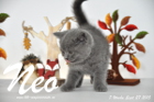 Neo ist 7 Wochen alt geworden (27.09.2015)