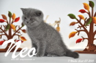 Neo ist 7 Wochen alt geworden (27.09.2015)