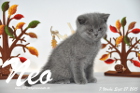 Neo ist 7 Wochen alt geworden (27.09.2015)