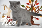 Neo ist 7 Wochen alt geworden (27.09.2015)