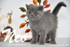 Neo ist 7 Wochen alt geworden (27.09.2015)