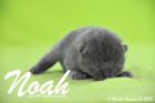 Noah ist 1 Woche alt geworden (16.08.2015)