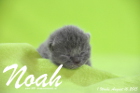Noah ist 1 Woche alt geworden (16.08.2015)
