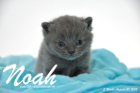 Noah ist 3 Wochen alt geworden (30.08.2015)