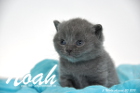 Noah ist 3 Wochen alt geworden (30.08.2015)