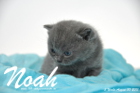 Noah ist 3 Wochen alt geworden (30.08.2015)
