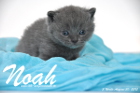 Noah ist 3 Wochen alt geworden (30.08.2015)