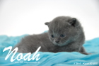 Noah ist 3 Wochen alt geworden (30.08.2015)