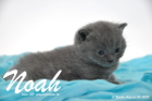 Noah ist 3 Wochen alt geworden (30.08.2015)