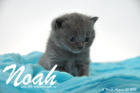 Noah ist 3 Wochen alt geworden (30.08.2015)