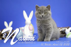 Naomi ist 10 Wochen alt ( 02.04.2022 )