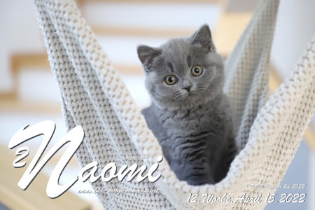 Naomi ist 12 Wochen alt ( 15.04.2022 )