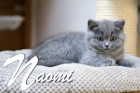 Naomi ist 12 Wochen alt ( 15.04.2022 )