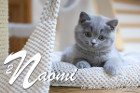 Naomi ist 12 Wochen alt ( 15.04.2022 )