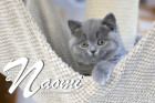Naomi ist 12 Wochen alt ( 15.04.2022 )