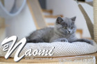 Naomi ist 12 Wochen alt ( 15.04.2022 )