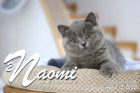 Naomi ist 12 Wochen alt ( 15.04.2022 )