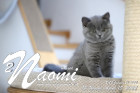 Naomi ist 12 Wochen alt ( 15.04.2022 )