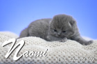 Naomi ist 12 Tage alt ( 05.02.2022 )