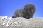 Naomi ist 12 Tage alt ( 05.02.2022 )