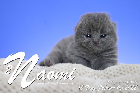 Naomi ist 12 Tage alt ( 05.02.2022 )