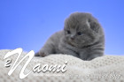 Naomi ist 12 Tage alt ( 05.02.2022 )
